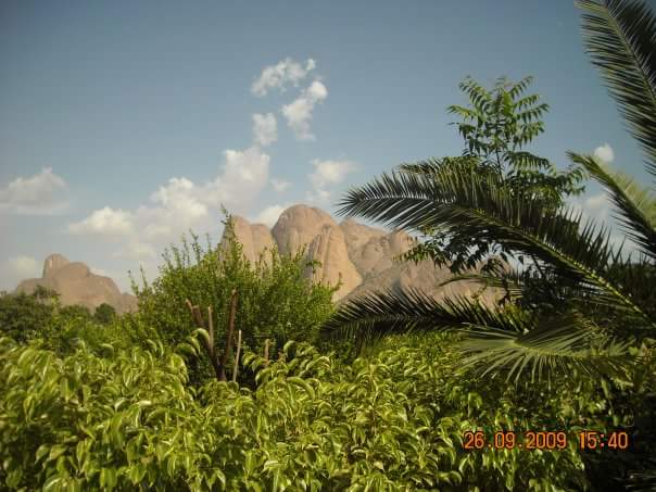 صورة