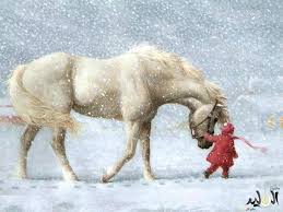 صورة