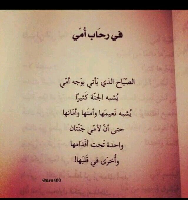 ���� ���� ������ �� ���� ������