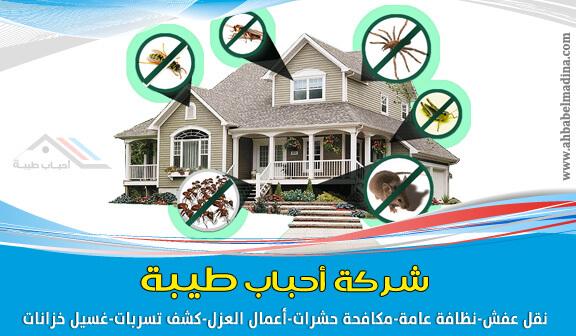 شركة مكافحة حشرات بينبع 0541425004 602746953.jpg