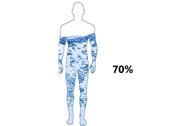 كم تبلغ نسبة الماء من وزن جسم الأنسان؟ منتديات MBC3