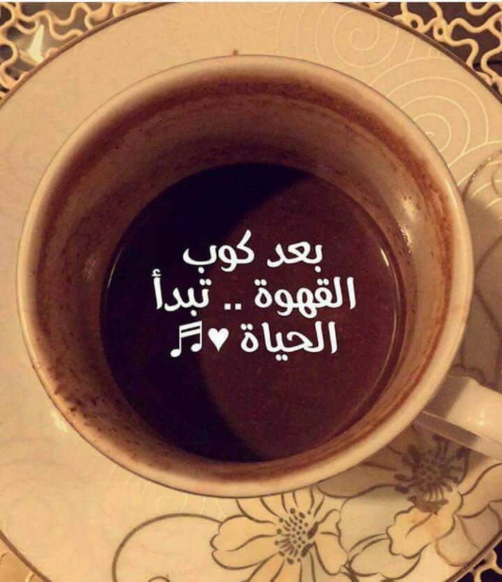 ���� ���� ������ �� ���� ������