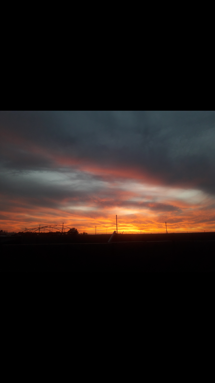 ���� ���� ������ �� ���� ������