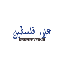 ���� ���� ������ �� ���� ������