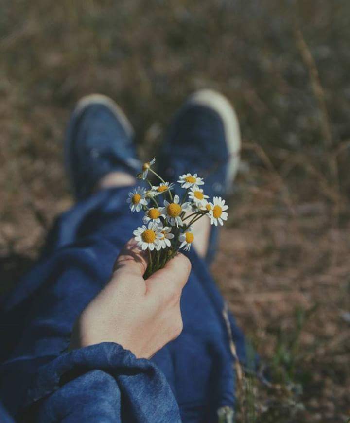 ���� ���� ������ �� ���� ������