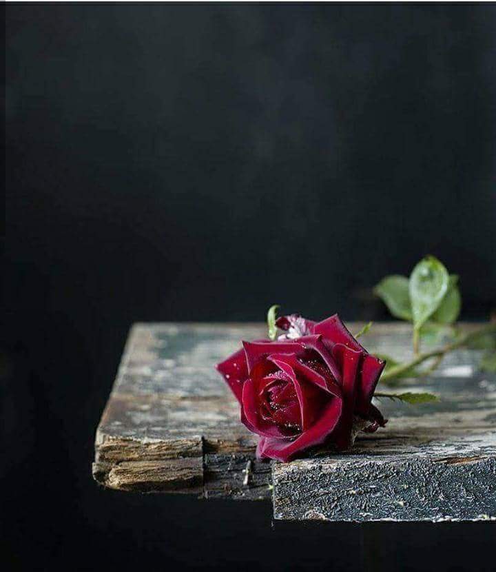 ���� ���� ������ �� ���� ������