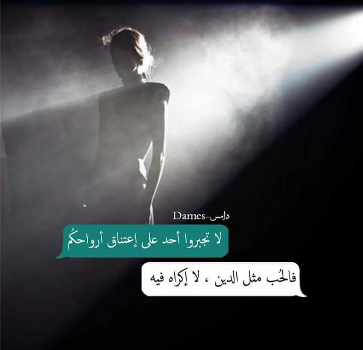 ���� ���� ������ �� ���� ������