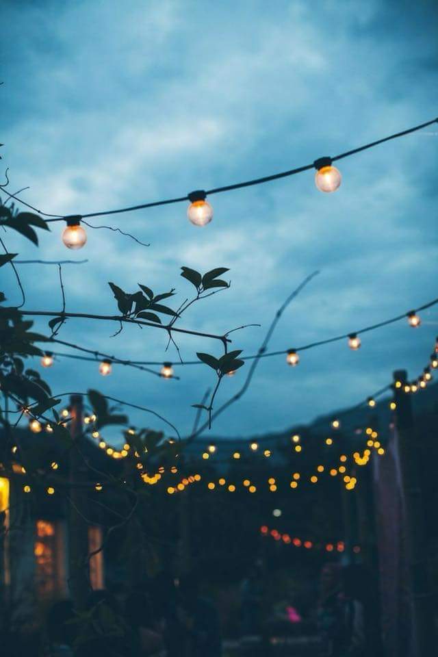 ���� ���� ������ �� ���� ������