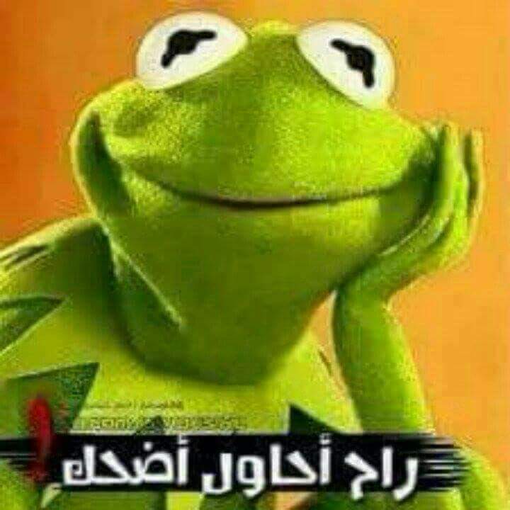 ���� ���� ������ �� ���� ������