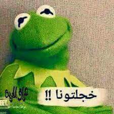 ���� ���� ������ �� ���� ������