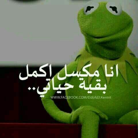 ���� ���� ������ �� ���� ������