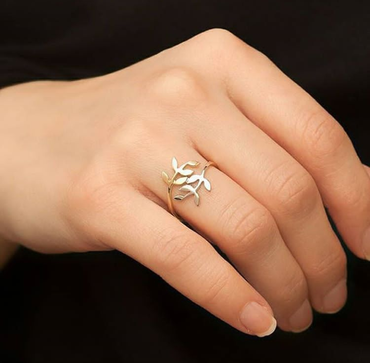 ���� ���� ������ �� ���� ������