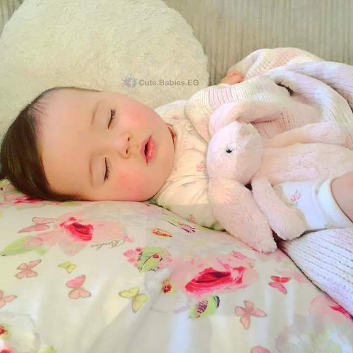 ���� ���� ������ �� ���� ������