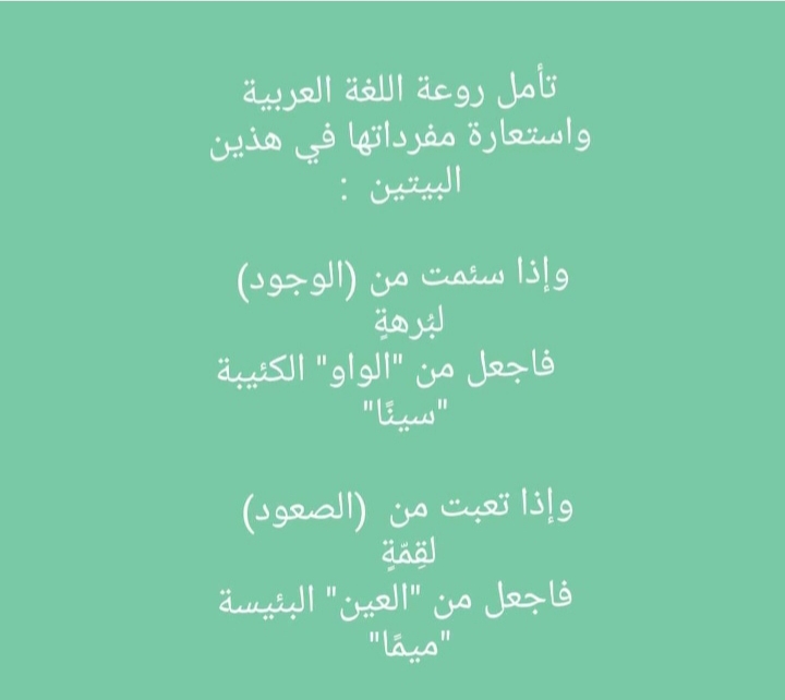 ���� ���� ������ �� ���� ������