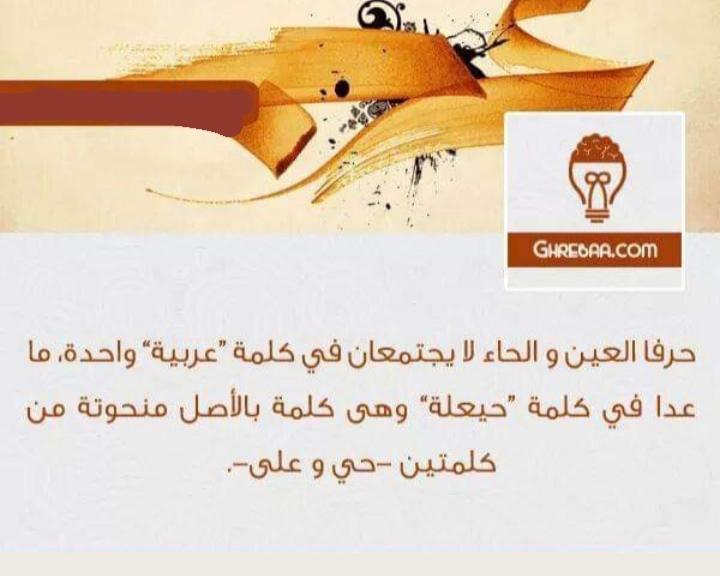 ���� ���� ������ �� ���� ������