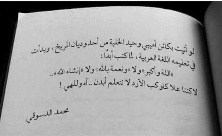 ���� ���� ������ �� ���� ������