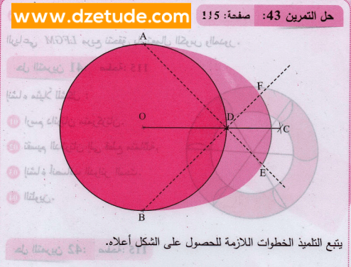 حل تمرين 43 صفحة 115 رياضيات السنة الثانية متوسط - الجيل الثاني