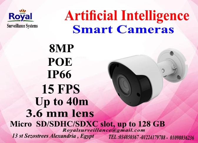 أحدث كاميرات مراقبة الخارجية الذكية8 MP  بعدسات ثابتة 977022301