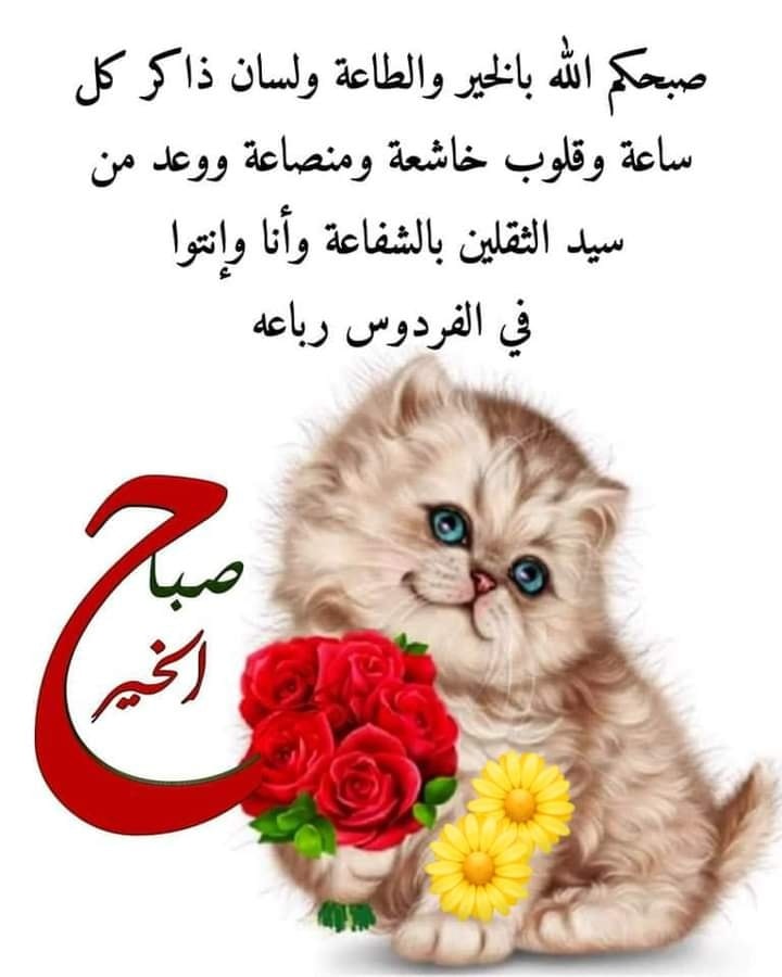 ���� ���� ������ �� ���� ������