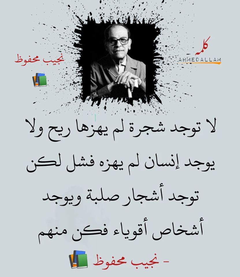 ���� ���� ������ �� ���� ������