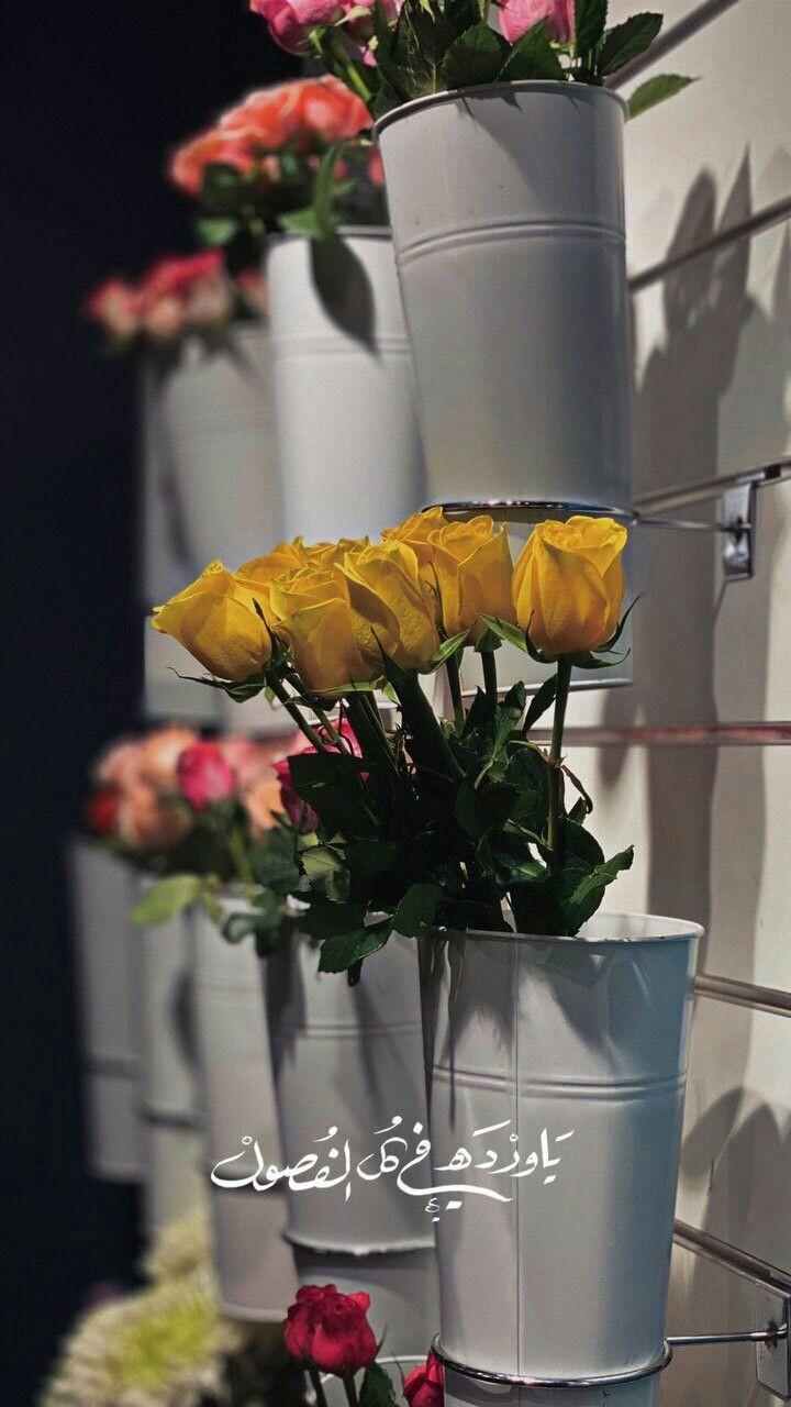 ���� ���� ������ �� ���� ������