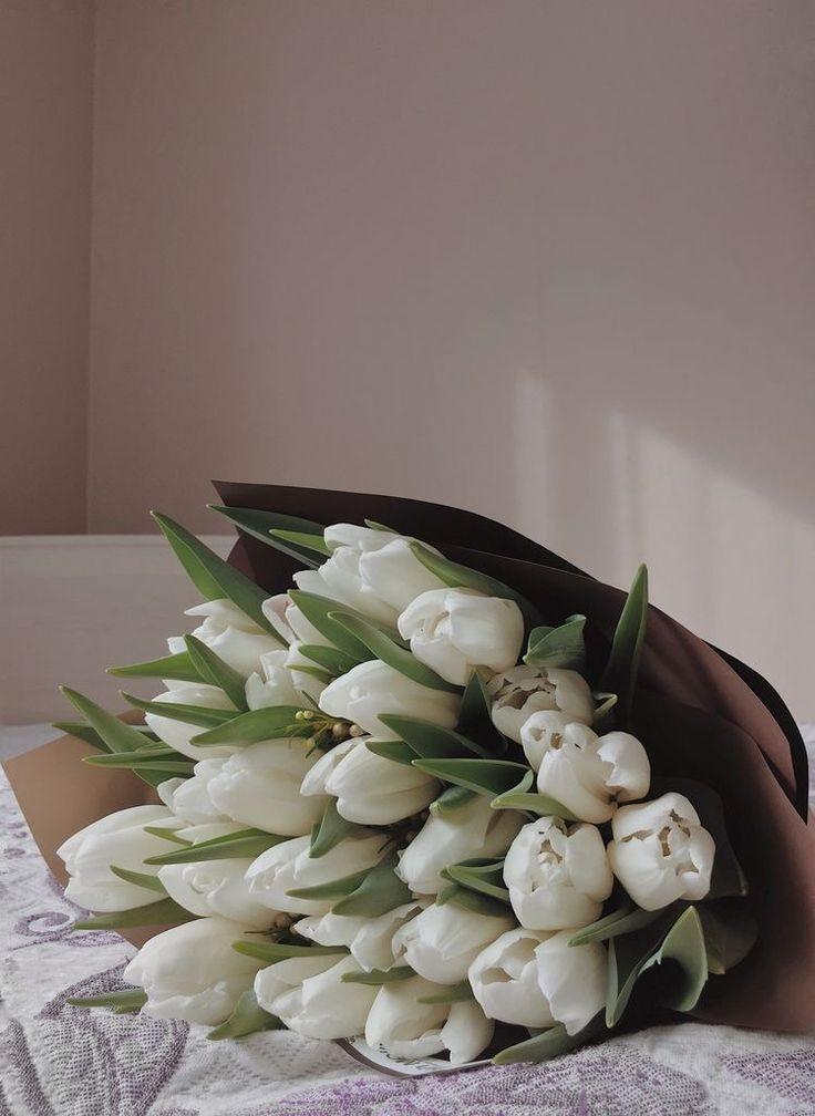 ���� ���� ������ �� ���� ������