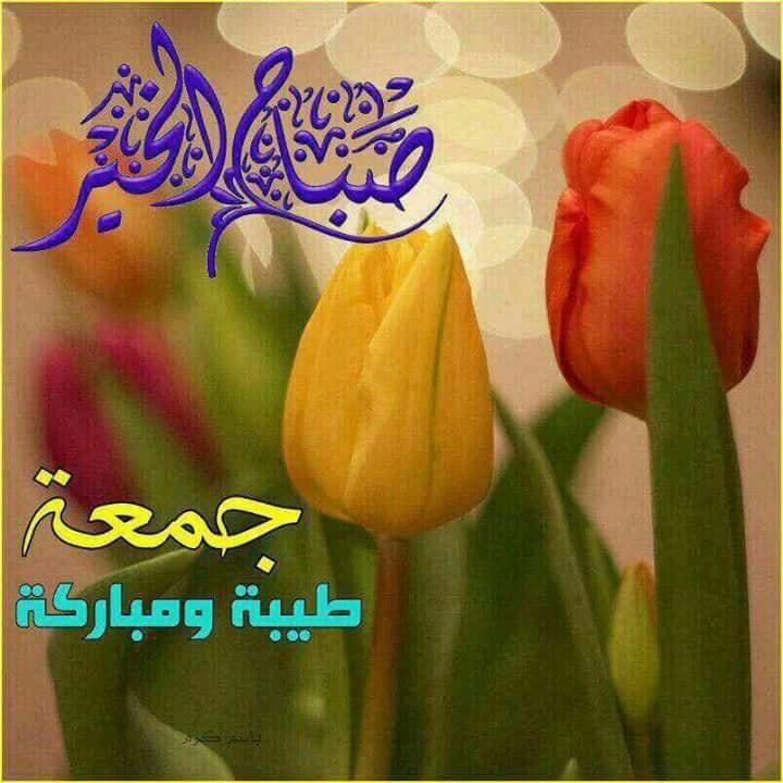 ���� ���� ������ �� ���� ������