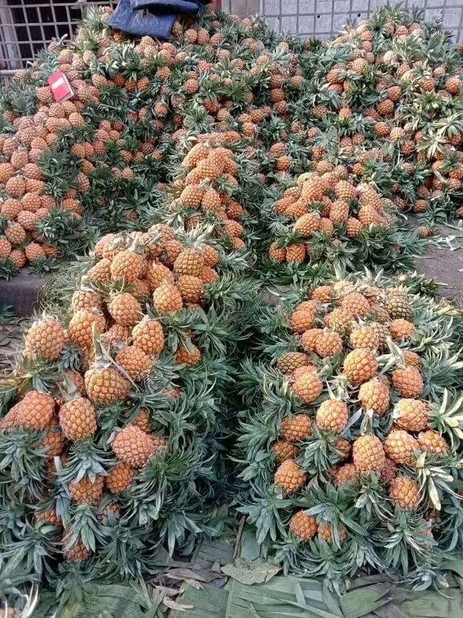 ���� ���� ������ �� ���� ������