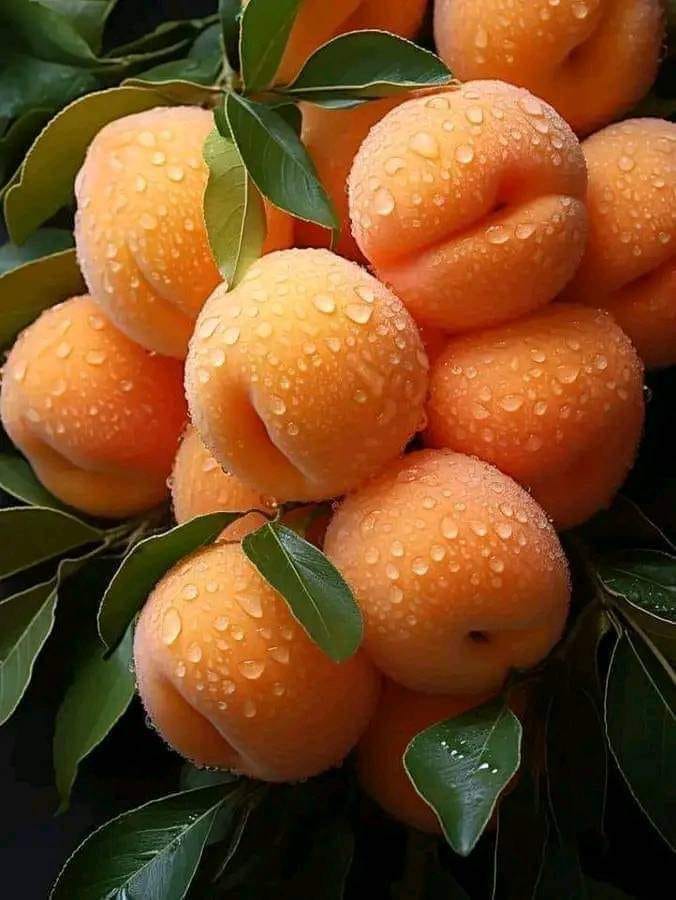 ���� ���� ������ �� ���� ������