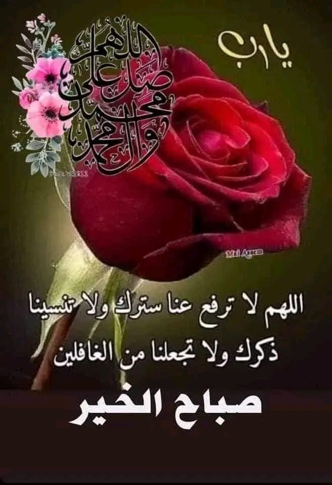 ���� ���� ������ �� ���� ������