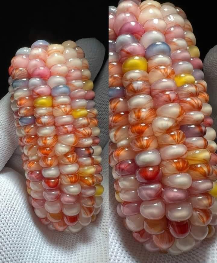 ���� ���� ������ �� ���� ������